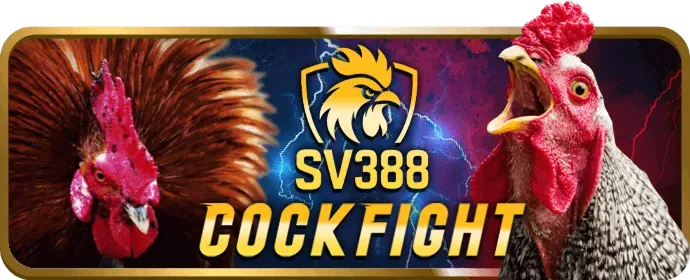 Cá cược eSports 911win
